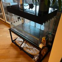 Terrario in vetro 85x50 + mobile