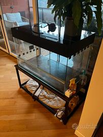 Terrario in vetro 85x50 + mobile