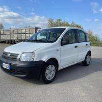 Fiat Panda Dynamic 1.2 benzina