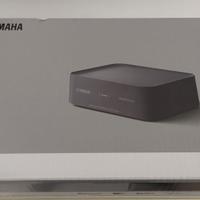 Yamaha MusicCast WXAD-10