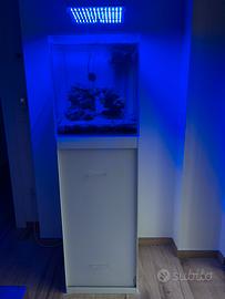 Acquario marino Malberti 100lt, vasca completa
