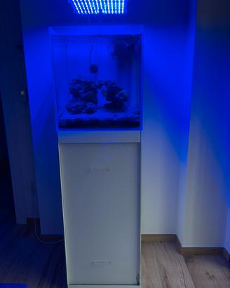 Acquario marino Malberti 100lt, vasca completa