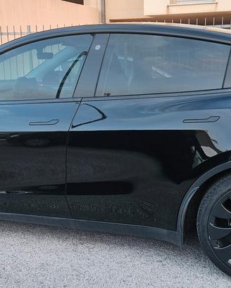 Model Y Performance IVA Esposta