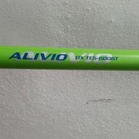 Canna bolognese 6 MT Shimano Alivio