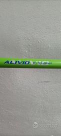 Canna bolognese 6 MT Shimano Alivio