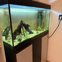 acquario completo 112 litri