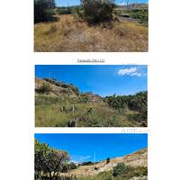 Terreno Agricolo Condofuri [A4328566]