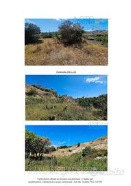 Terreno Agricolo Condofuri [A4328566]