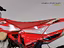 Immagine 8