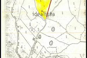 Terreno boschivo zona Angelo Piovene R