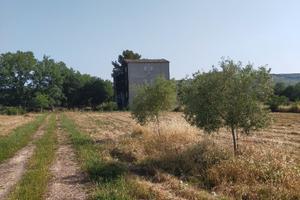 Terreno + casa - sortino (sr)