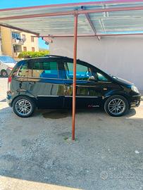 Lancia musa