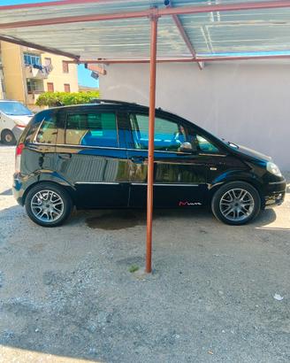 Lancia musa