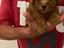 Immagine 5