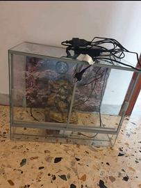 terrario