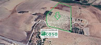 Rif.TA67-Terreno agricolo Caltanissetta