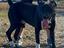 Immagine 4