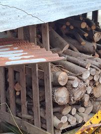  legna da camino