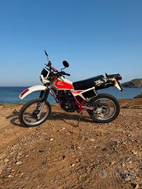 Honda XL 500 R