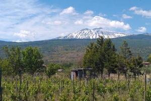 Terreno agricolo a Linguaglossa