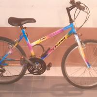 BICI MTB