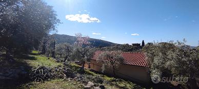 Terreno a uliveto con casa civile abitazione