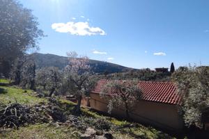 Terreno a uliveto con casa civile abitazione