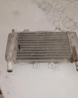 radiatore piaggio