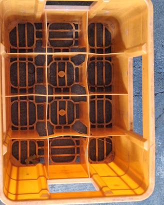 Cassette vuote per bottiglie