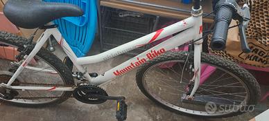 Bicicletta mountain bike