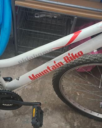 Bicicletta mountain bike