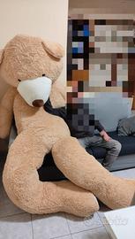 orso peluche gigante