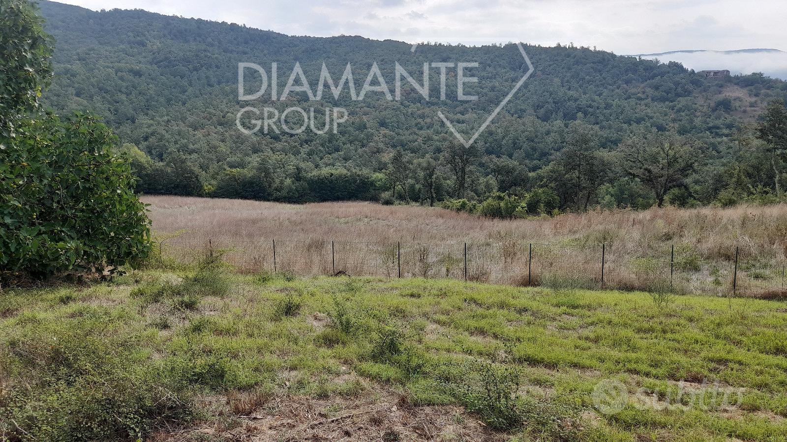 Azienda agricola con casale e 6 ettari di terreno - Vista 2