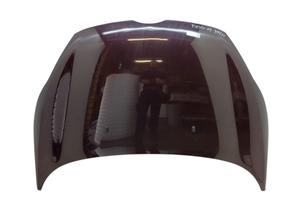 COFANO ANTERIORE FORD Fiesta 6Â° Serie 1774791 F6J