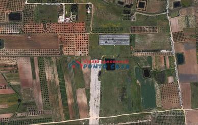 RILIEVO–C/da Ballotta–Terreno agricolo di 26.000mq