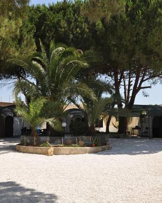 Bungalow in Residence OltreMare