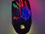 Immagine 2