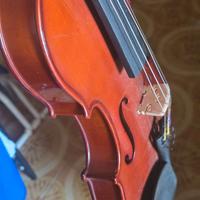 Violino Artigianale epoca del 900 in eccellenti co
