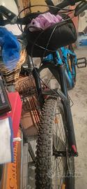 bike Scott