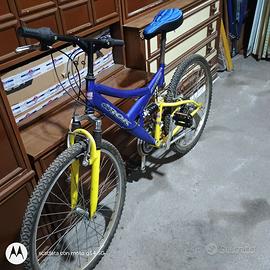 Bici mountain bike