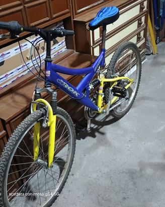 Bici mountain bike