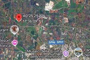 Terreno agricolo con uliveto