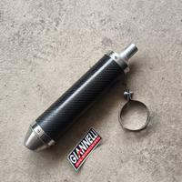 Giannelli silenziatore marmitta beta RR 50 motard