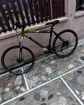Bicicletta uomo