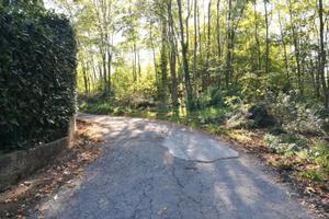 Terreno agricolo con ampio rudere