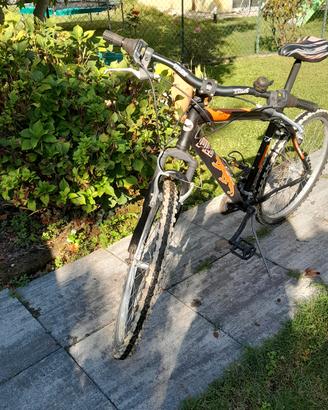  bicicletta per ragazzi