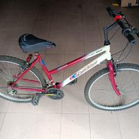 bicicletta mountain bike 