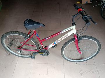 bicicletta mountain bike 