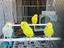 Immagine 2