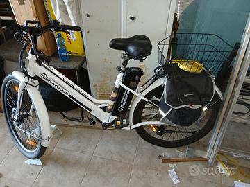 2 biciclette elettriche 